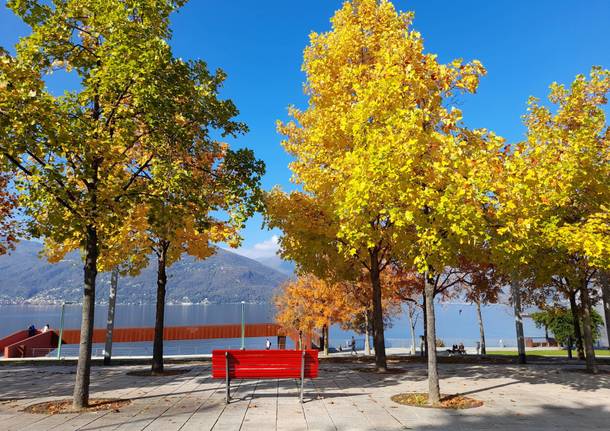 I colori dell'autunno a Germignaga - foto di Marzia Malesani