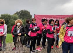 La camminata in rosa di Laveno Mombello 