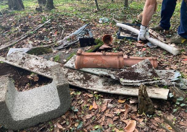 La pulizia del bosco a Lonate Pozzolo