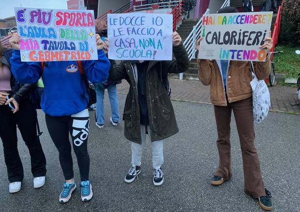 Sciopero degli studenti del liceo Frattini