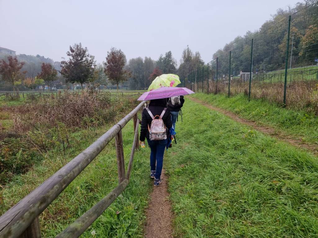 via francisca lucomagno, calimali, fagnano olona, 