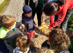 autunno scuola dell'infanzia Verga Calcinate del Pesce