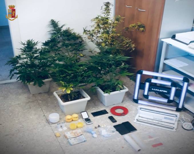 coltivazione marijuana Gallarate