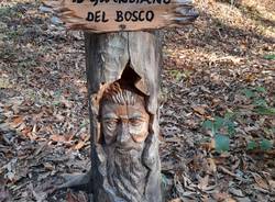 Il bosco incantato di Caldana