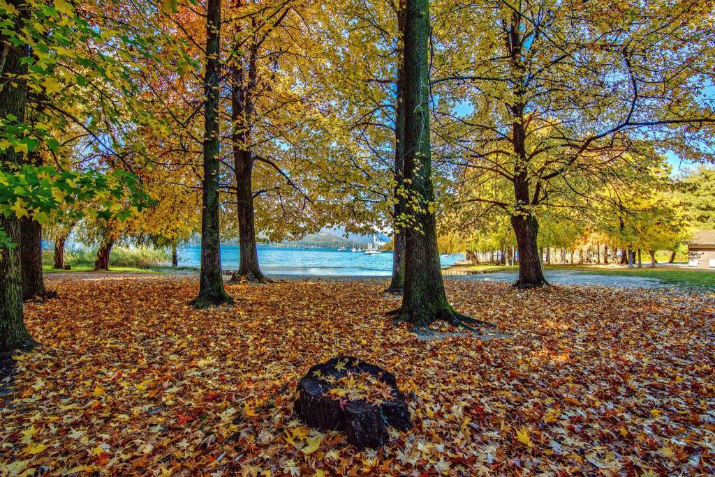 L'autunno a monvalle - lago maggiore - Stefano Pasqualetti