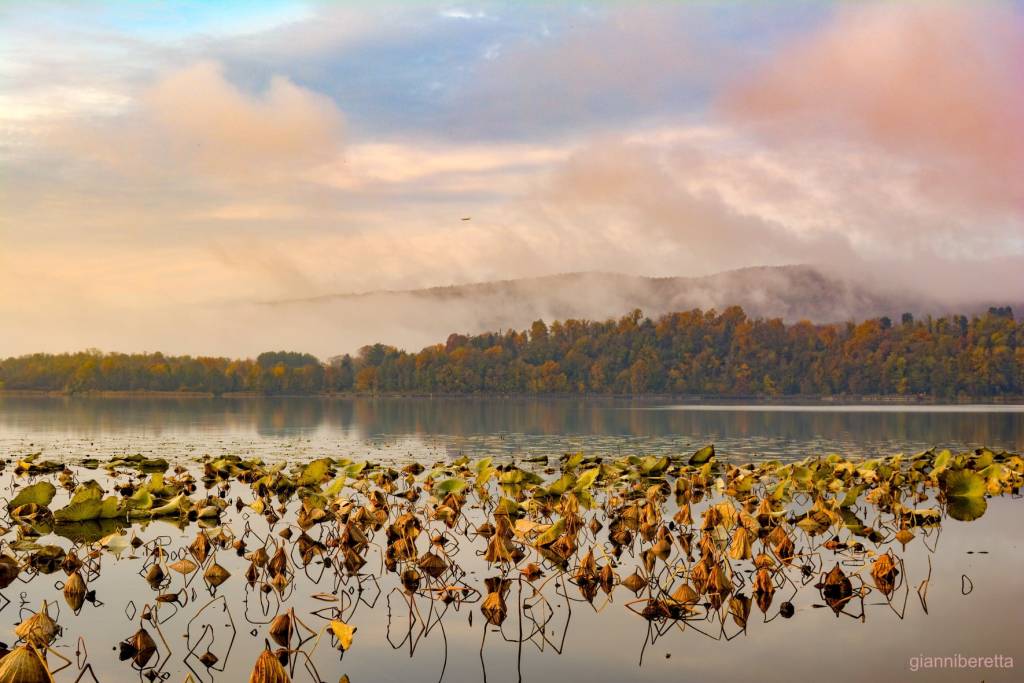 lago di Comabbio - Gianni Beretta