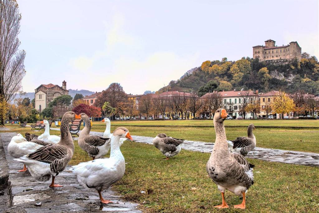 Le Oche di Angera sul Lago Maggiore - foto Stefano Pasqualetti