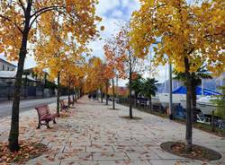 Lungolago luino