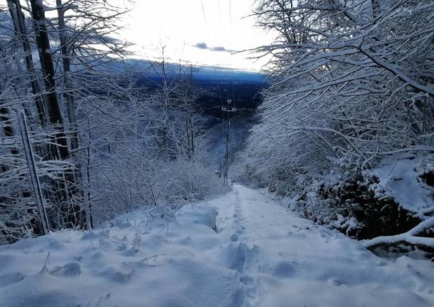 Il risveglio sotto la neve