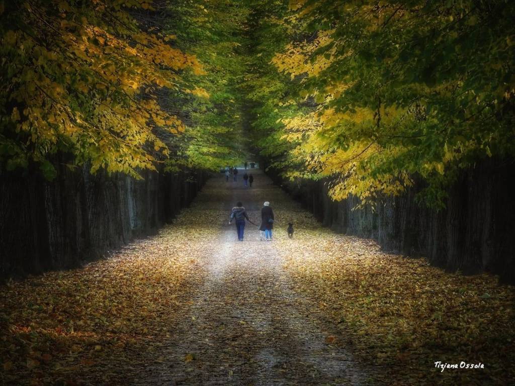 Parco quassa ispra - Tiziana Ossola 