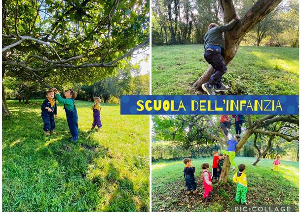 Scuola dell'infanzia Il Bosco verde