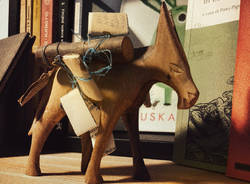 Libreria degli Asinelli - novembre