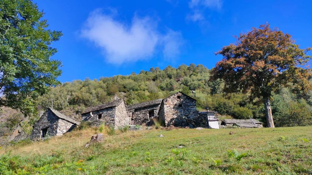 Alpe Ceresola Ossola Montagna alpeggio 