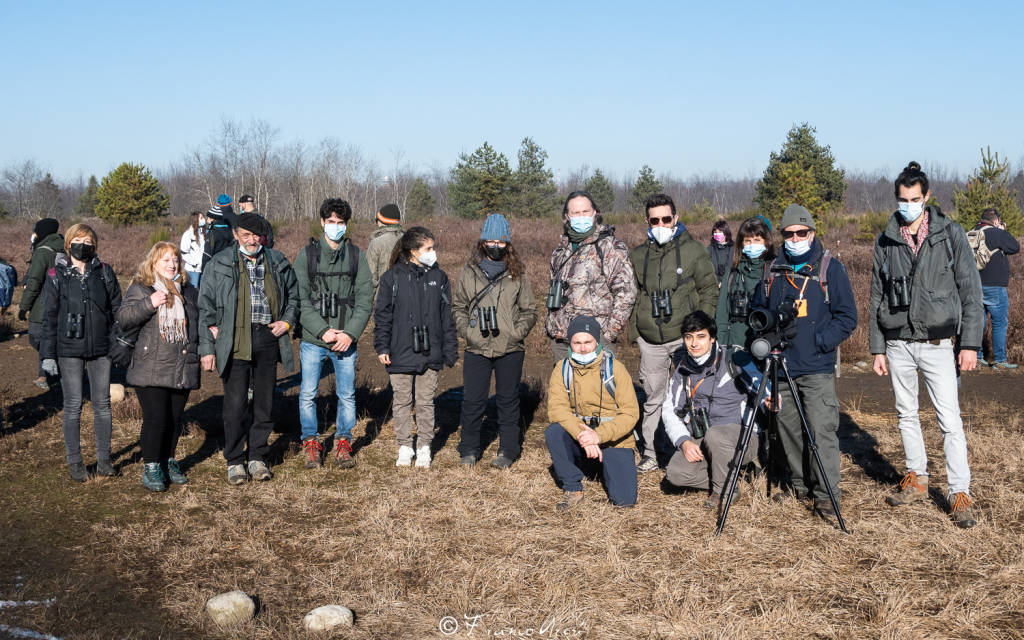 Il grande successo del bioblitz nella brughiera attorno a Malpensa