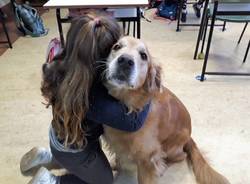 Cooper a scuola con i bambini di Casciago: Un cane per amico