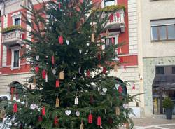 L'albero dei nuovi nati a Gallarate