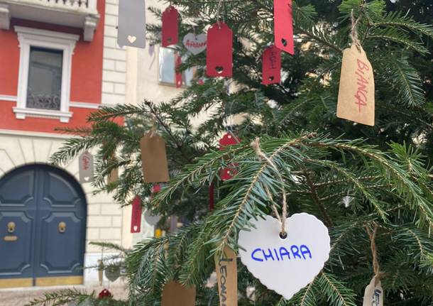 L’albero di Natale dei nuovi nati a Gallarate