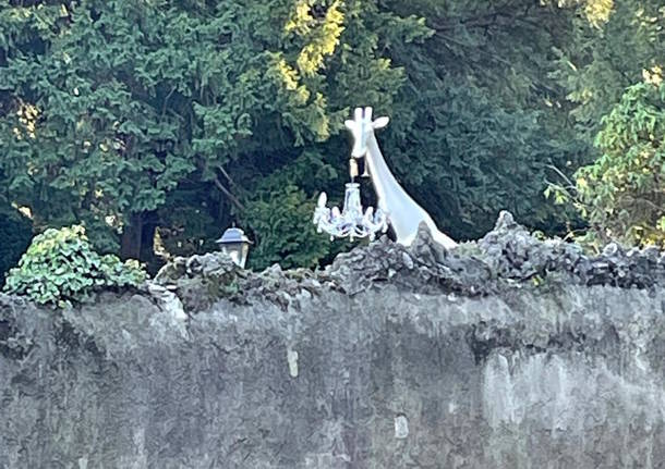 giraffa nel giardino di varese