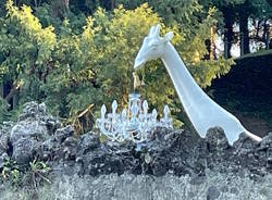 giraffa nel giardino di varese