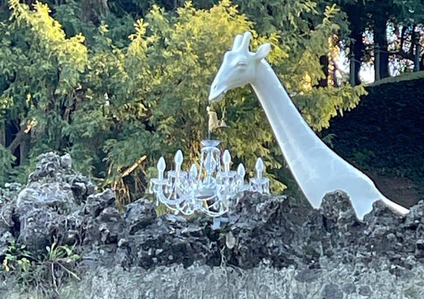 giraffa nel giardino di varese