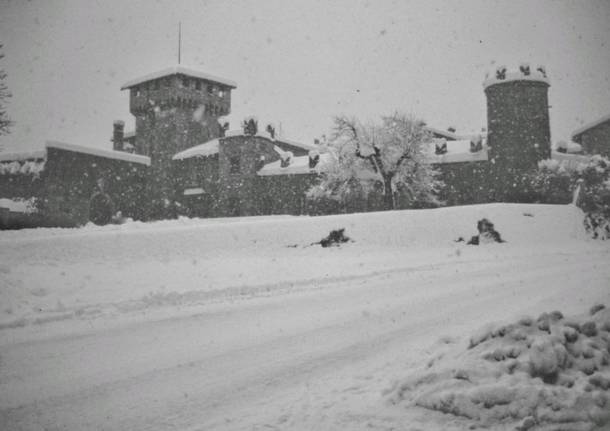 La grande nevicata del 1985