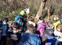 Caravate: inaugurato il sentiero del bosco didattico \"Pancott\"