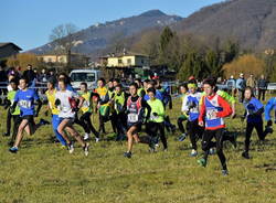 cross di arcisate podismo corsa campestre