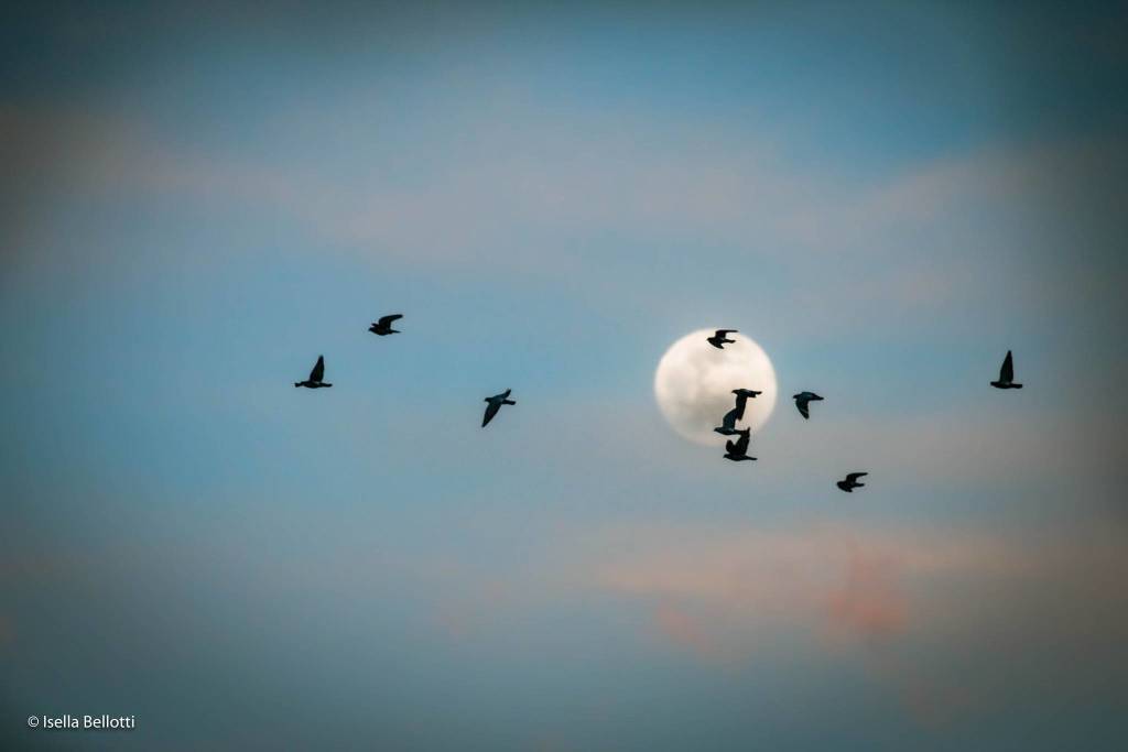 In volo sopra Luino