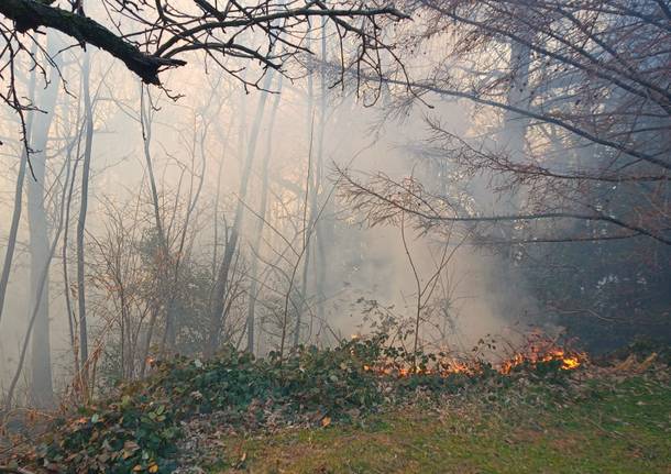 incendio monte morone malnate