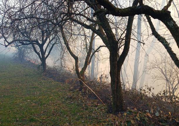 incendio monte morone malnate