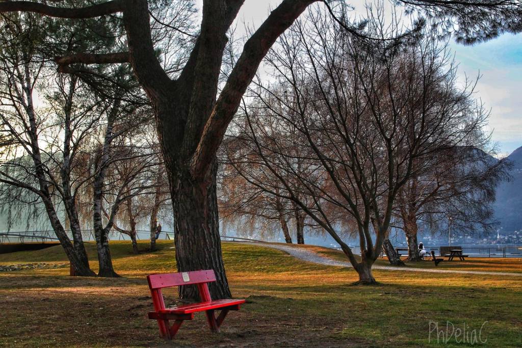 Parco Boschetto a Germignaga -ph. Delia Ilona Ciocoiu