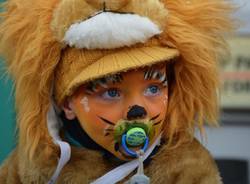 carnevale generiche