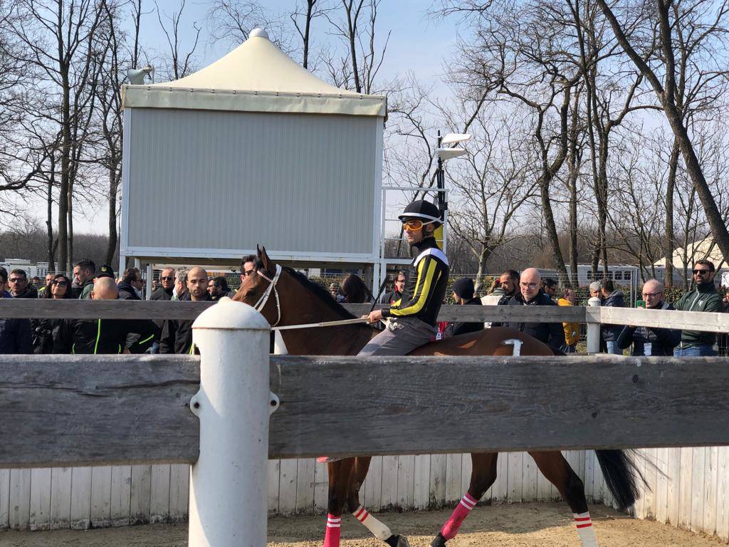 Corse a pelo Palio di Legnano