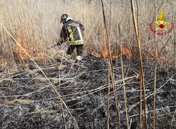 Incendio torbiera Laveno 