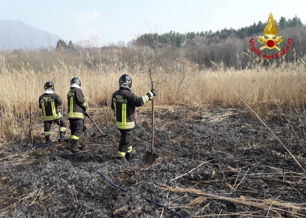 Incendio torbiera Laveno 