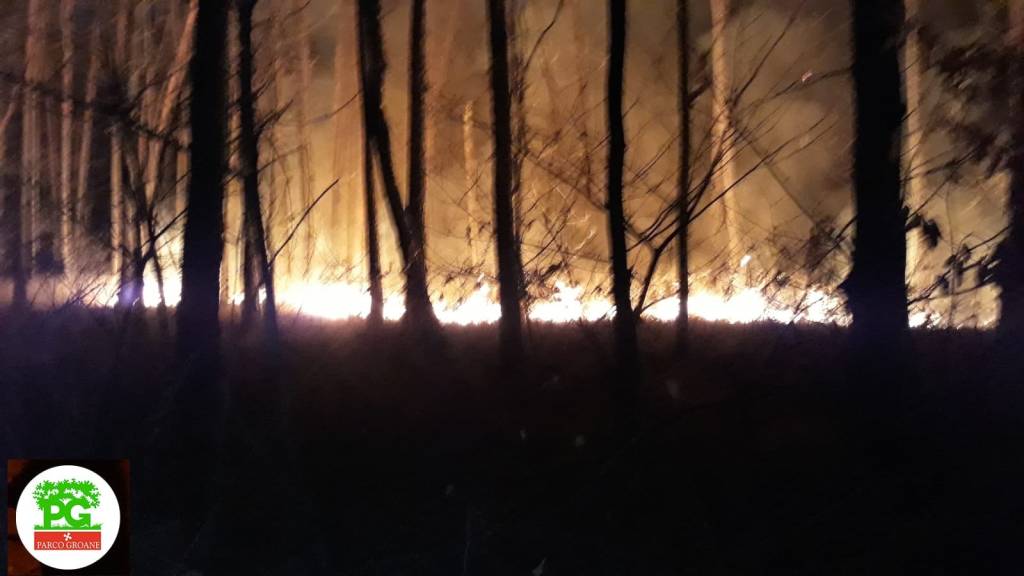 Rogo nel Parco delle Groane alle porte di Saronno