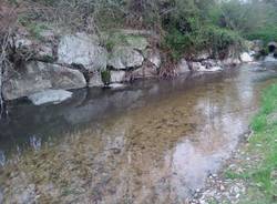 Ancora sversamenti dal depuratore di Cantello al torrente Lanza