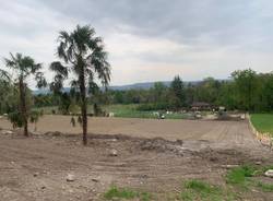 Crescono le vigne a Casciago