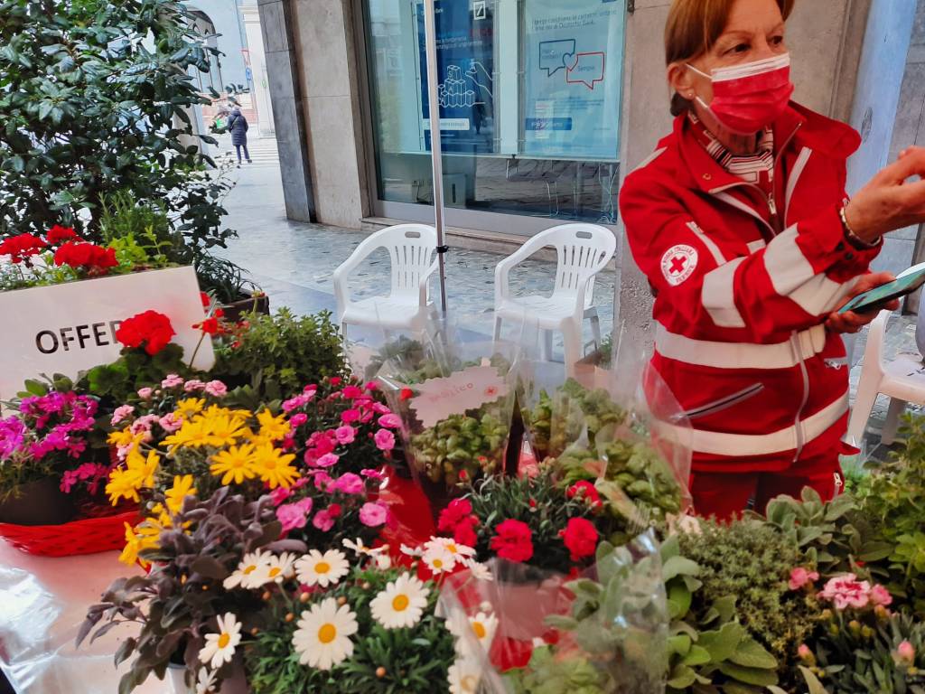 Fiori ed erbe aromatiche nel nbanchetto della cri