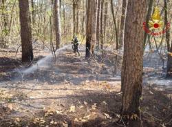 Forte vento sul Varesotto, vigili del fuoco impegnati tra alberi caduti e incendi