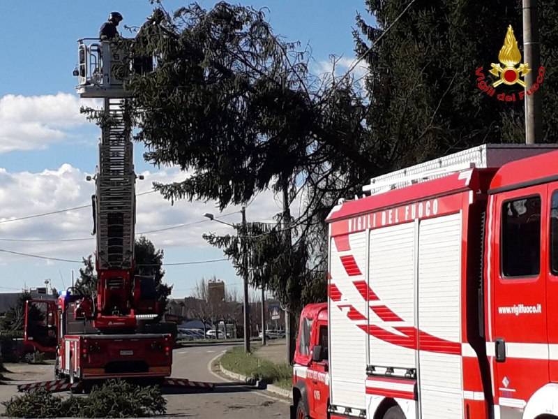 Forte vento sul Varesotto, vigili del fuoco impegnati tra alberi caduti e incendi