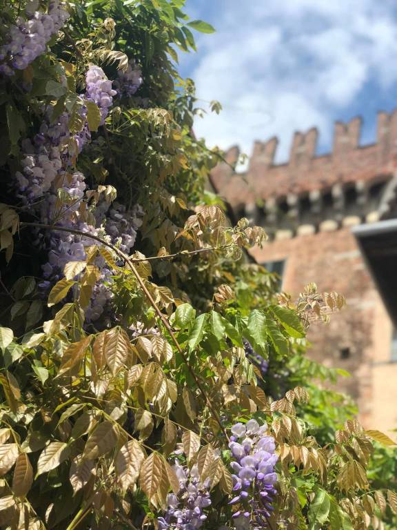 Il Castello di Cislago visto da dentro