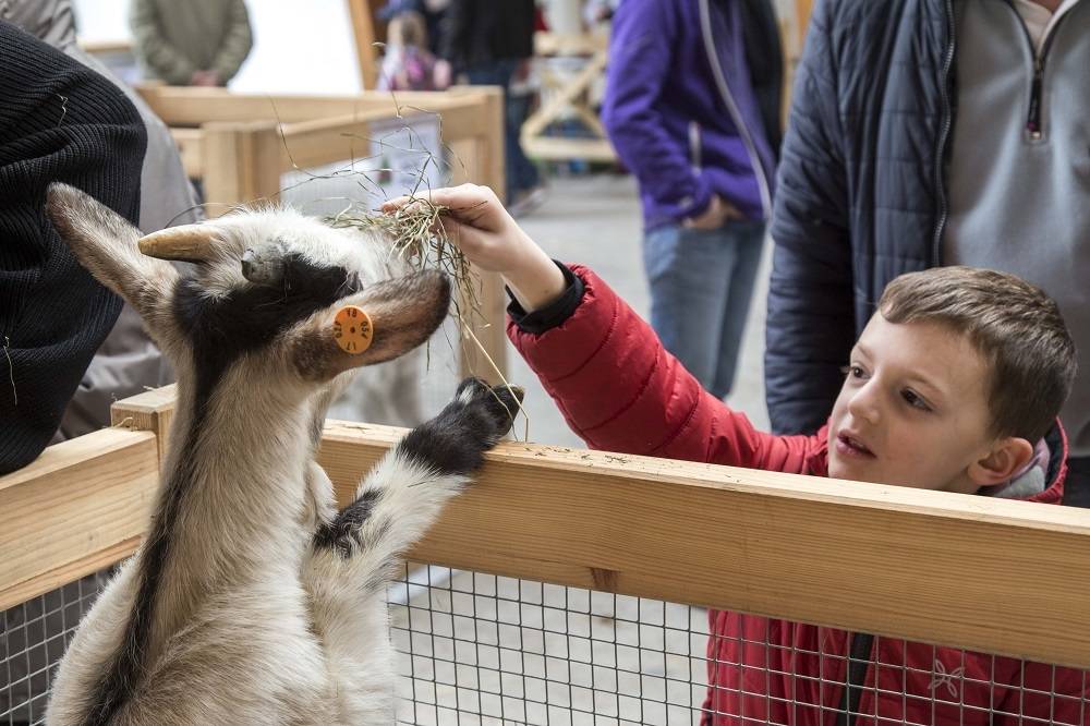 Pasqua in val Vigezzo