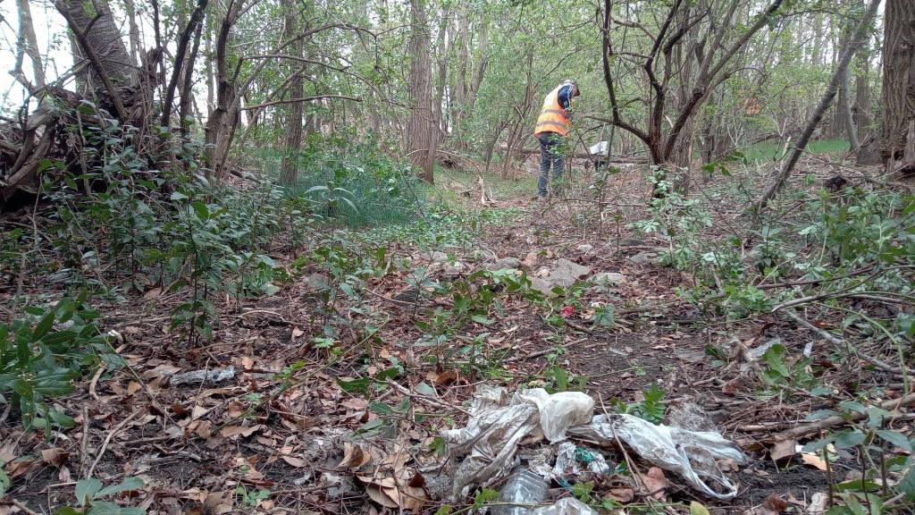 raccolti 80 sacchi di rifiuti abbandonati nella zona industriale di Gallarate