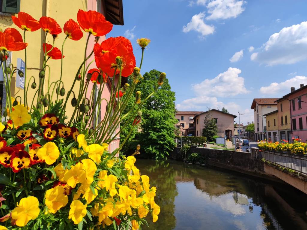 Besozzo in fiore - ph. Paola Pescatori