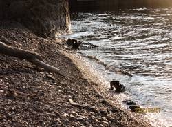 La spiaggia di Zenna