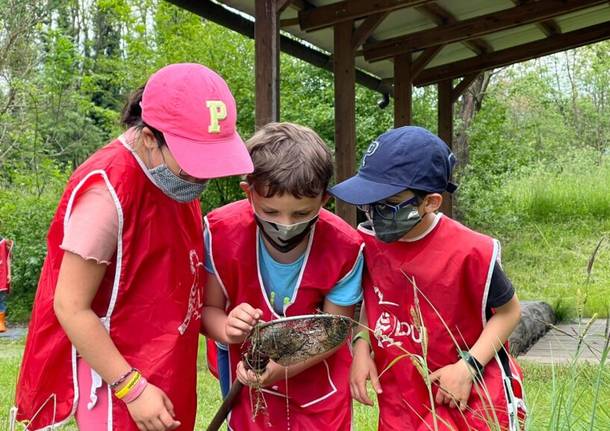 eventi bambini