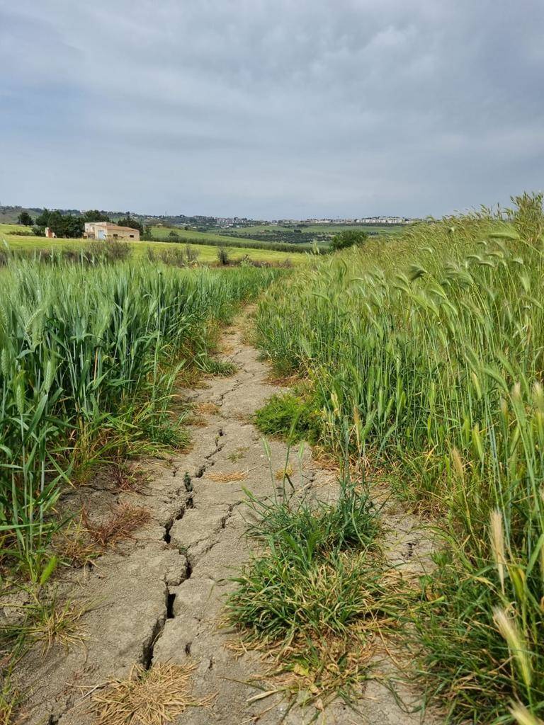 Giorno 7 del cammino Materano