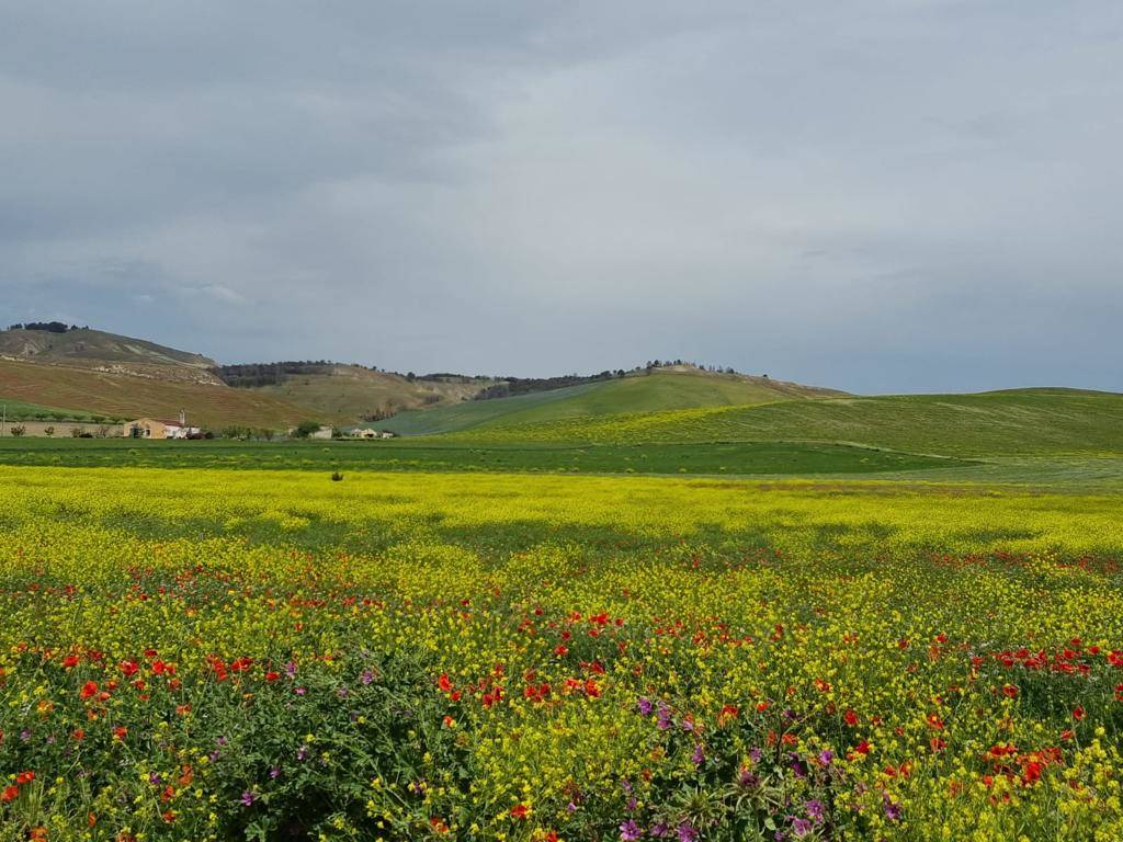 Giorno 7 del cammino Materano