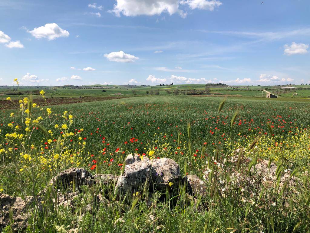 Quinta tappa del cammino Materano: Gravina in Puglia